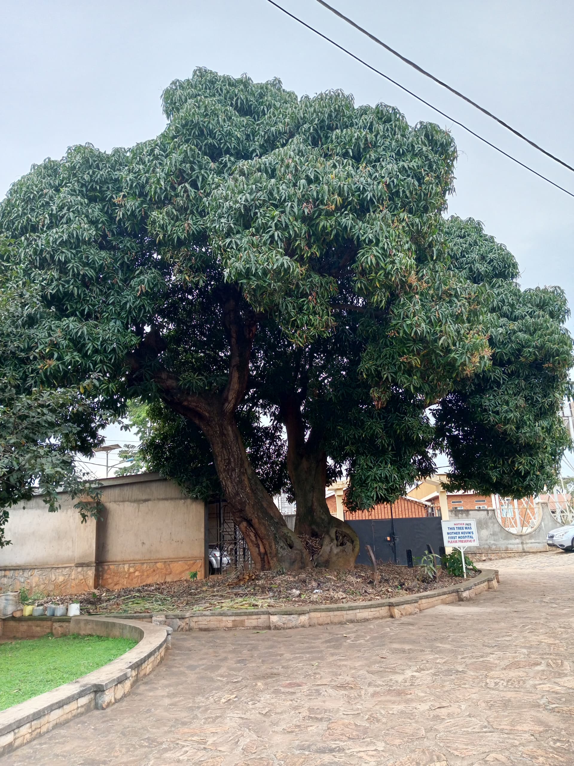 Nsambya foundation ceremony